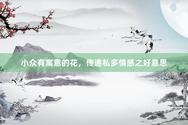 小众有寓意的花，传递私多情感之好意思