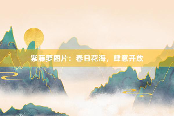 紫藤萝图片：春日花海，肆意开放
